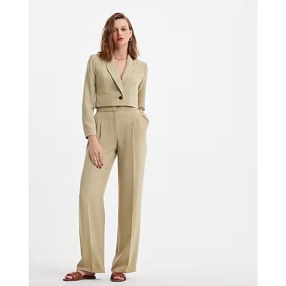 Express Super High Waisted Pleated Wide Leg 8R - Picture 5 of 7